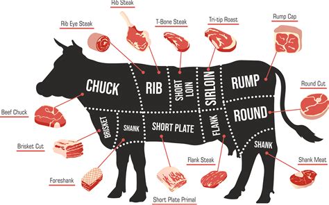 牛肉切法大公開！如何切出嫩滑可口的牛肉？